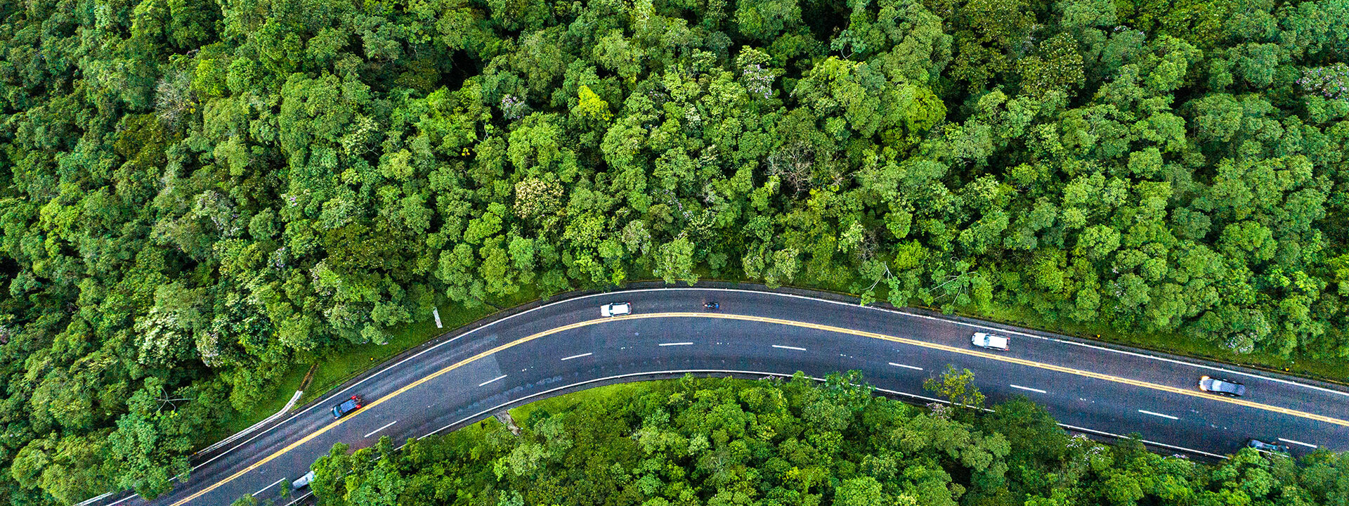 © Kapsch TrafficCom Cars driving on a road through a forest, illustrating Kapsch TrafficCom's commitment to environmental sustainability and climate protection.
